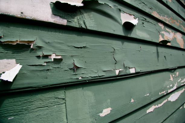 Best Residential Junk Removal  in Beaver, UT